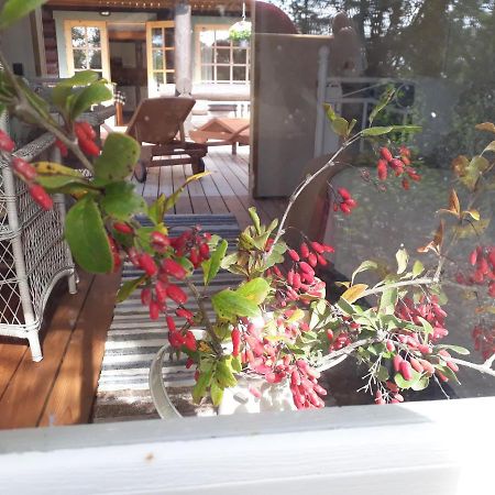 Paehkli Seaside Cottage With Cozy Outdoor Patio Koiguste Экстерьер фото