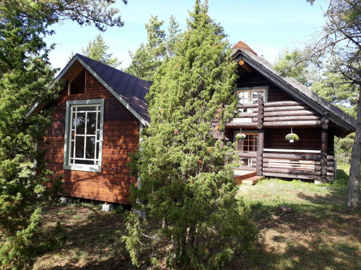 Paehkli Seaside Cottage With Cozy Outdoor Patio Koiguste Экстерьер фото